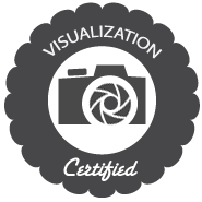 visualization badge